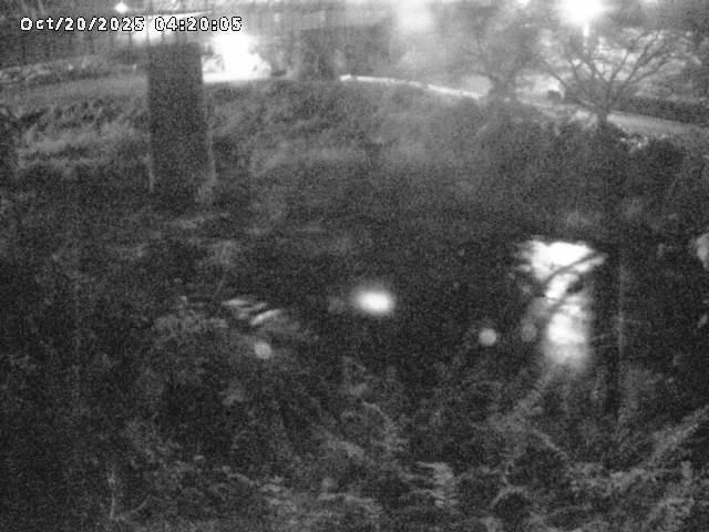 日野川１０2025/10/20 6:40:00