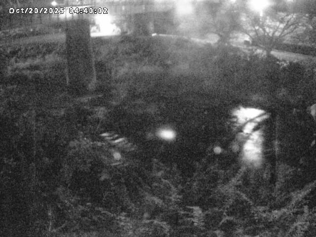 日野川１０2025/10/20 6:40:00