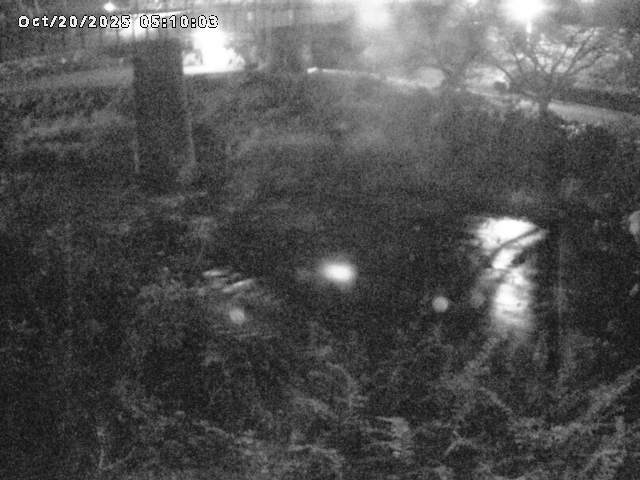 日野川１０2025/10/20 6:40:00