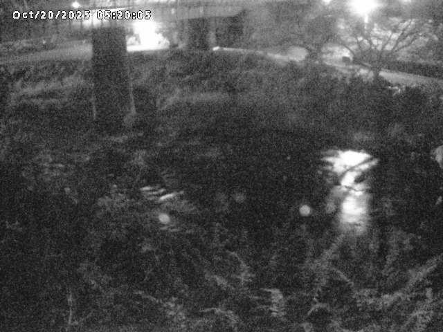 日野川１０2025/10/20 6:40:00