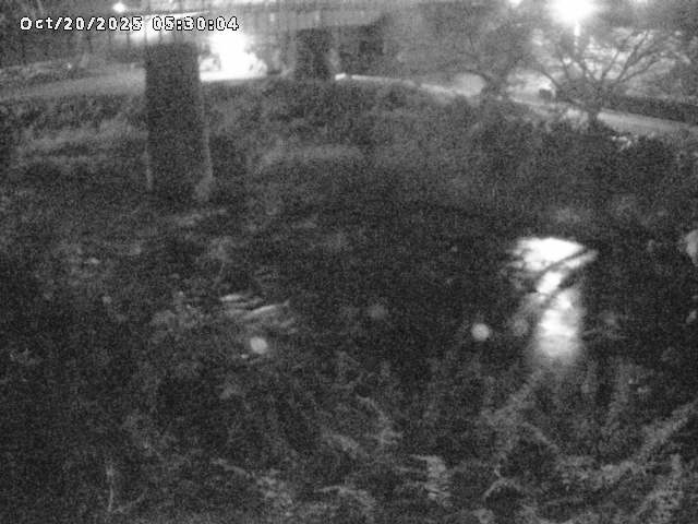 日野川１０2025/10/20 6:40:00