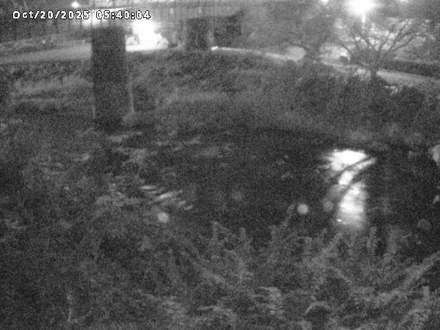 日野川１０2025/10/20 6:40:00