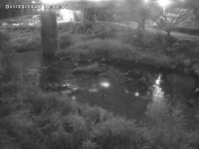 日野川１０2026/10/21 1:50:00
