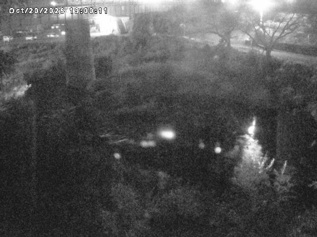 日野川１０2026/10/21 1:50:00