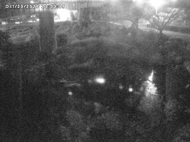 日野川１０2026/10/21 1:50:00
