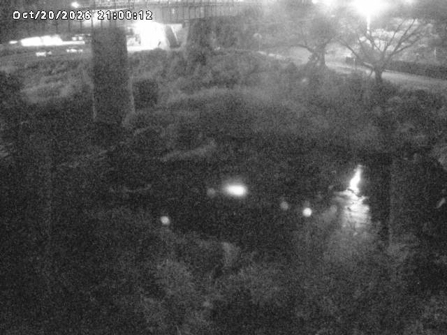 日野川１０2026/10/21 1:50:00