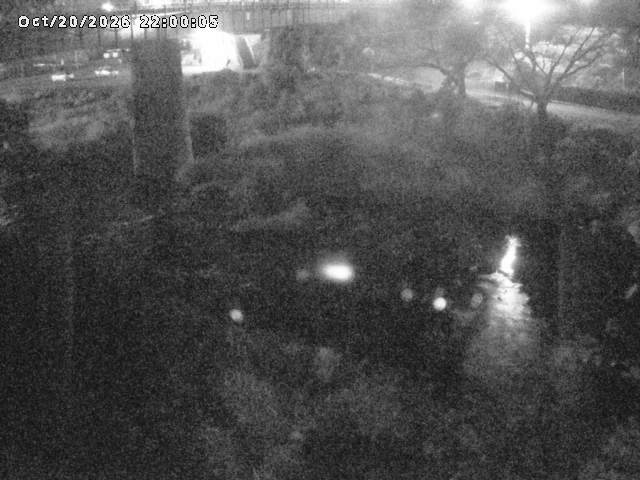 日野川１０2026/10/21 1:50:00