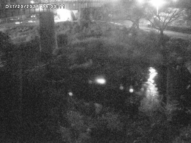 日野川１０2026/10/21 1:50:00