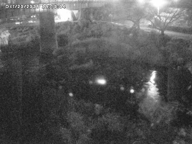 日野川１０2026/10/21 1:50:00