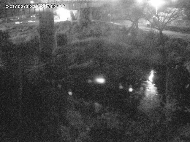 日野川１０2026/10/21 1:50:00