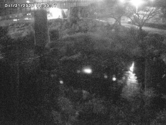 日野川１０2026/10/21 1:50:00