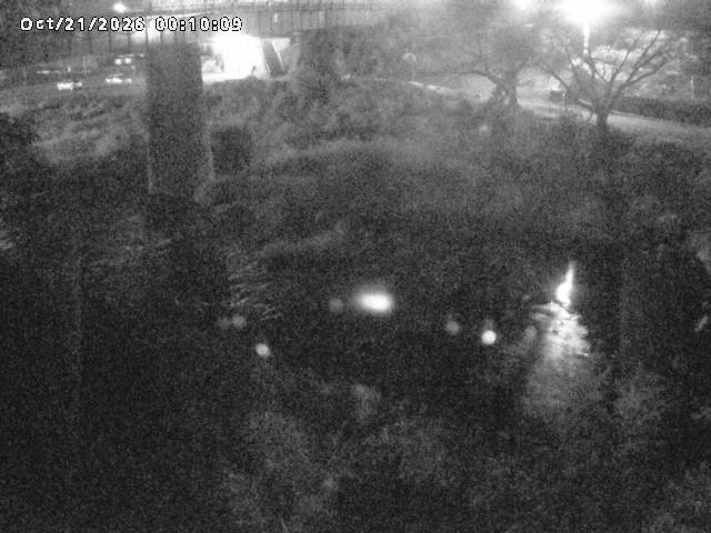 日野川１０2026/10/21 1:50:00