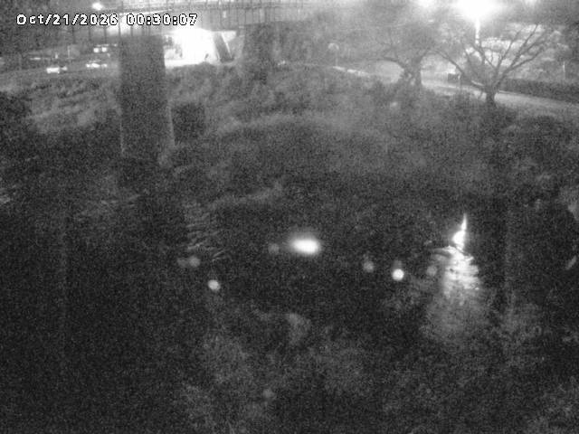 日野川１０2026/10/21 1:50:00
