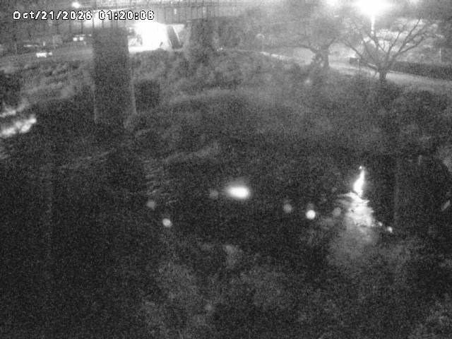 日野川１０2026/10/21 1:50:00