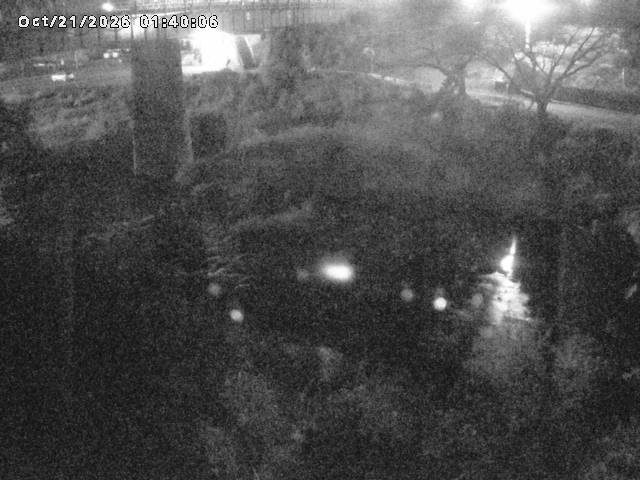 日野川１０2026/10/21 1:50:00