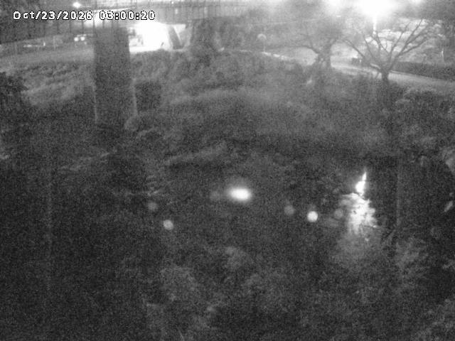 日野川１０2026/10/24 3:20:00