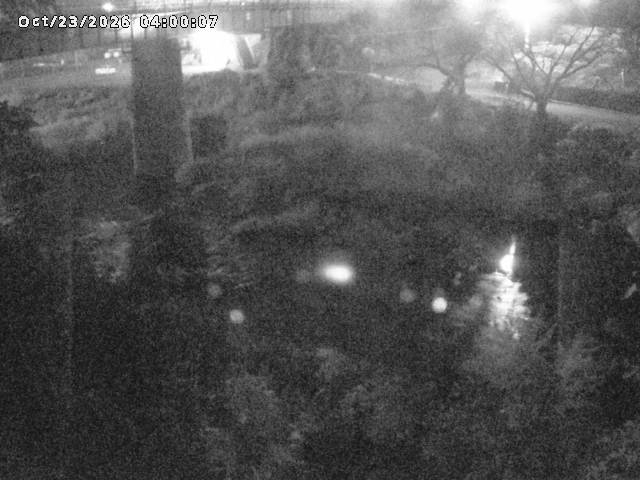 日野川１０2026/10/24 3:20:00