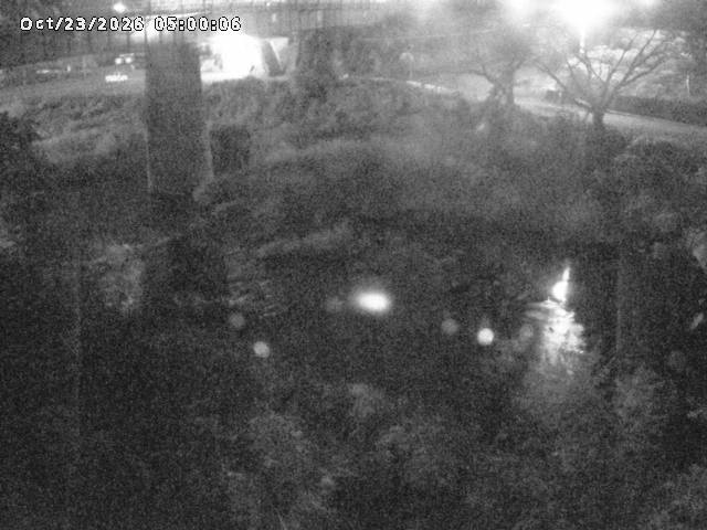 日野川１０2026/10/24 3:20:00