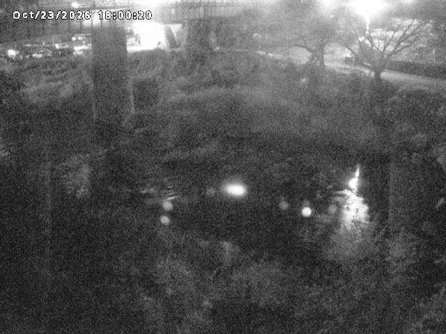 日野川１０2026/10/24 3:20:00