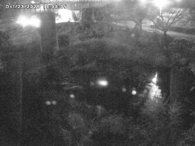 日野川１０2026/10/24 3:20:00