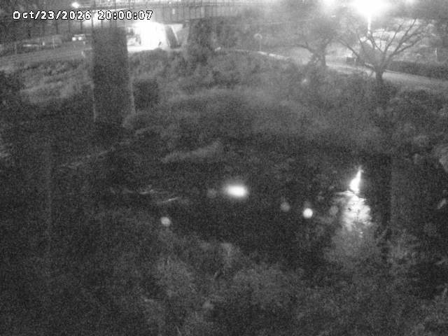 日野川１０2026/10/24 3:20:00