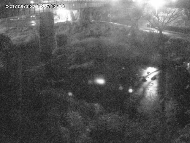 日野川１０2026/10/24 3:20:00