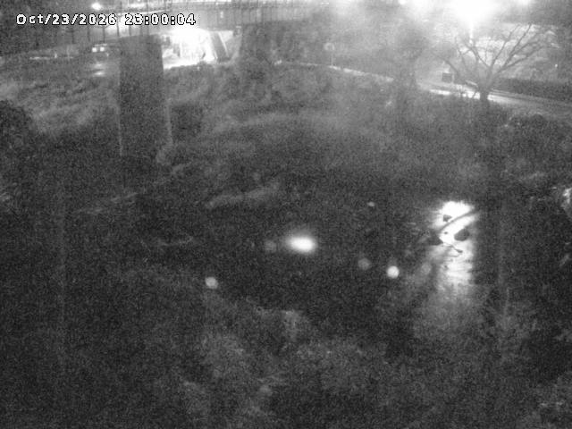 日野川１０2026/10/24 3:20:00