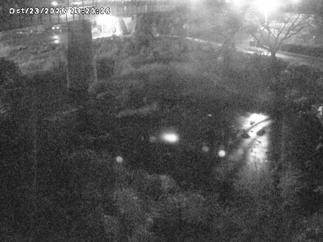 日野川１０2026/10/24 3:20:00