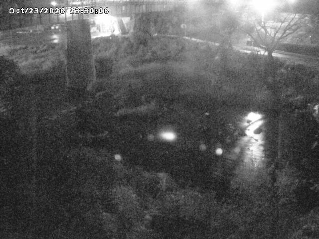 日野川１０2026/10/24 3:20:00