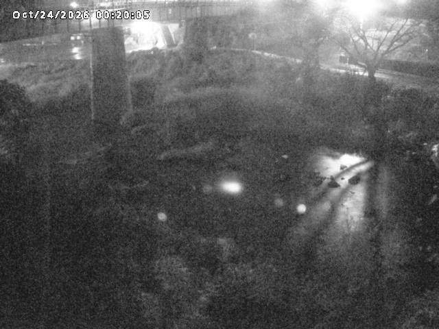 日野川１０2026/10/24 3:20:00
