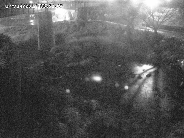 日野川１０2026/10/24 3:20:00