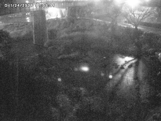 日野川１０2026/10/24 3:20:00