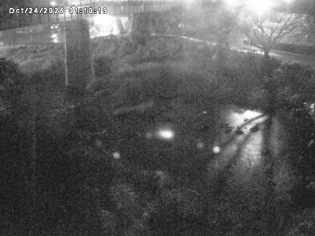 日野川１０2026/10/24 3:20:00