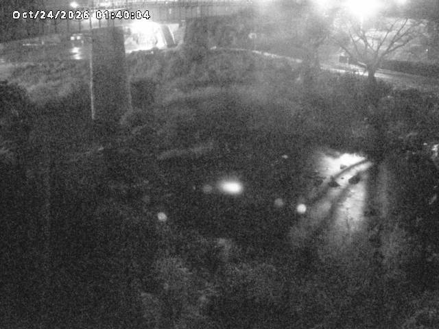 日野川１０2026/10/24 3:20:00