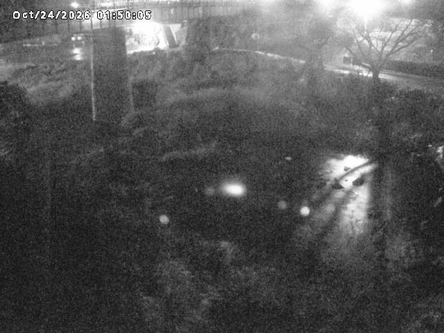 日野川１０2026/10/24 3:20:00