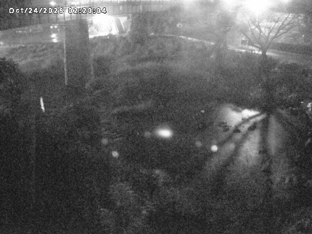 日野川１０2026/10/24 3:20:00