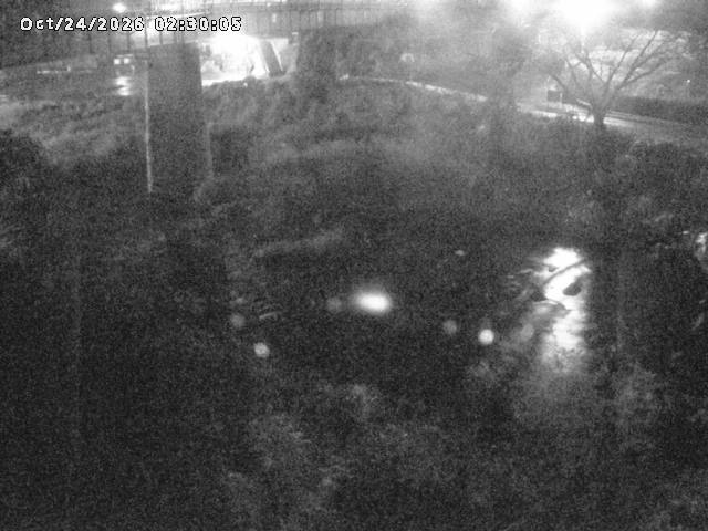 日野川１０2026/10/24 3:20:00
