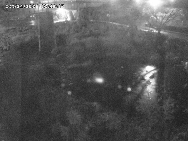 日野川１０2026/10/24 3:20:00