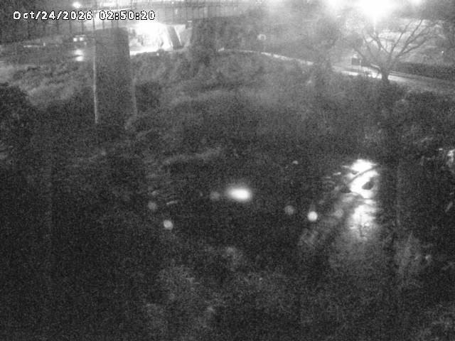 日野川１０2026/10/24 3:20:00