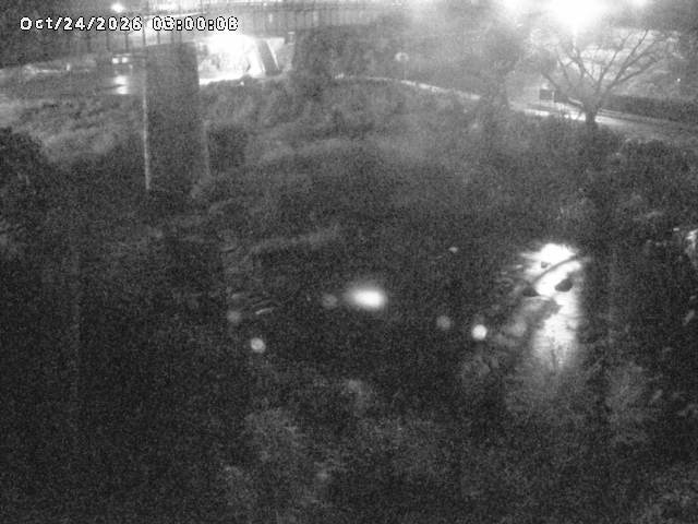 日野川１０2026/10/24 3:20:00