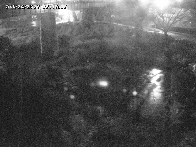 日野川１０2026/10/24 3:20:00
