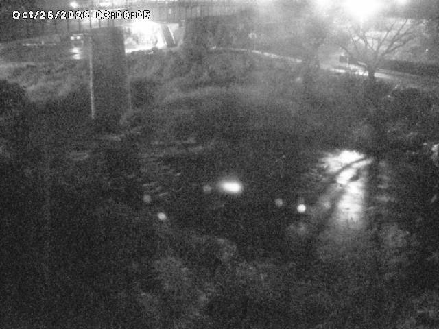 日野川１０2026/10/27 2:50:00