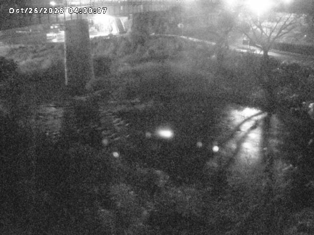 日野川１０2026/10/27 2:50:00