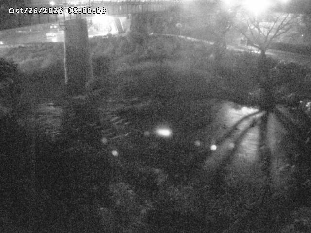 日野川１０2026/10/27 2:50:00