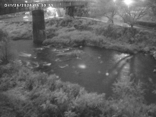 日野川１０2026/10/27 2:50:00