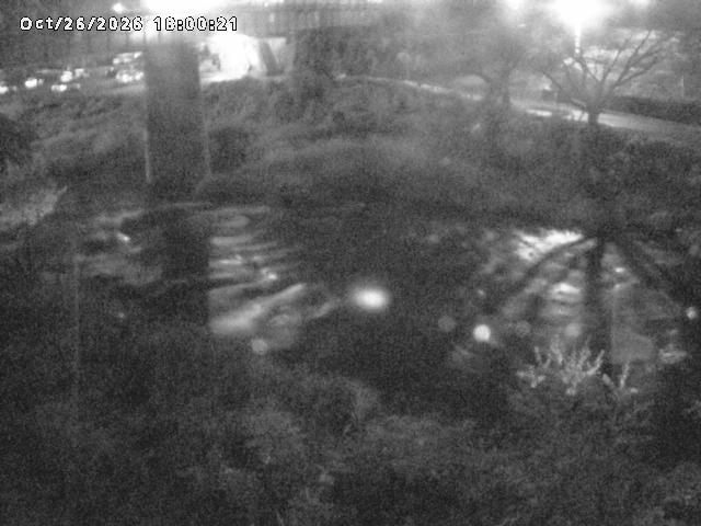 日野川１０2026/10/27 2:50:00