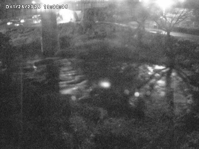 日野川１０2026/10/27 2:50:00