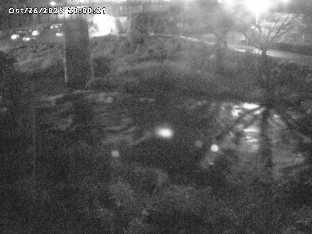 日野川１０2026/10/27 2:50:00