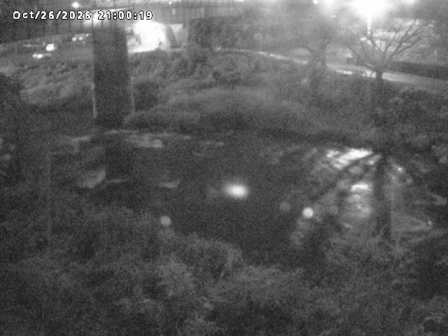 日野川１０2026/10/27 2:50:00