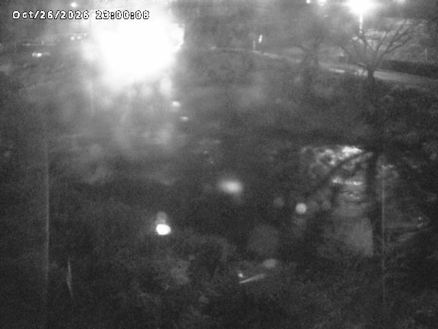 日野川１０2026/10/27 2:50:00